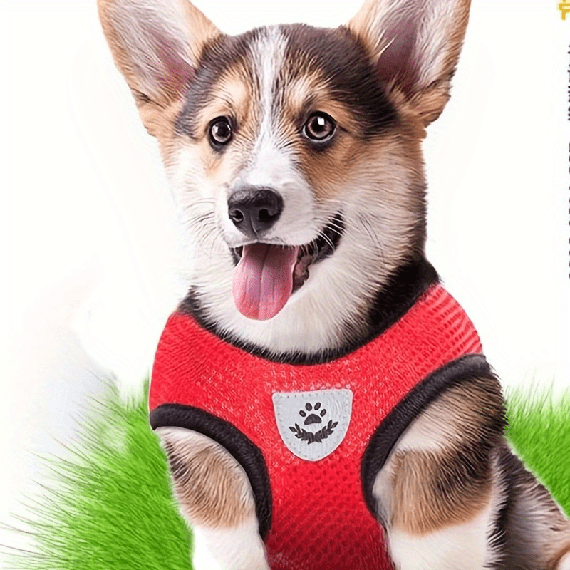 Reflective Pet Harness And Leash Set For Dogs And Cats, Adjustable Puppy Cat Vest Harness With Soft Mesh