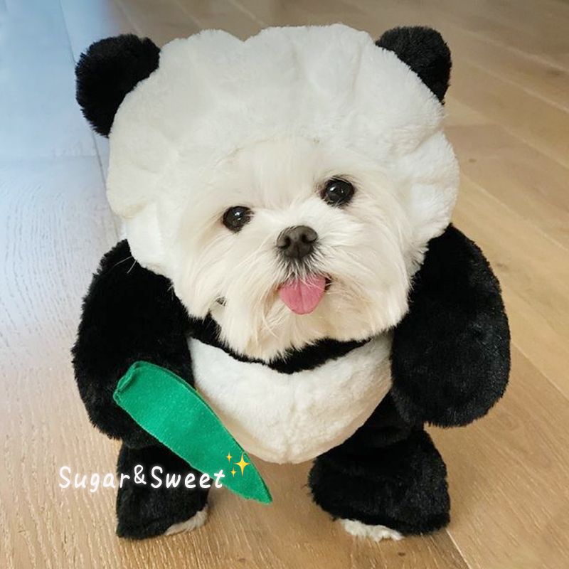 Funny Rabbit & Panda Pet Costume with Leash - Carrot & Bamboo Designs