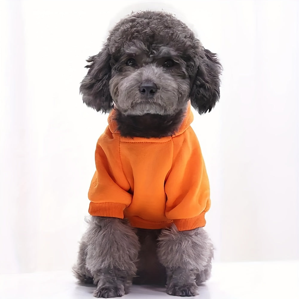 Hooded Fleece Dog Sweater – Warm Knit Coat for Small Dogs | All Seasons
