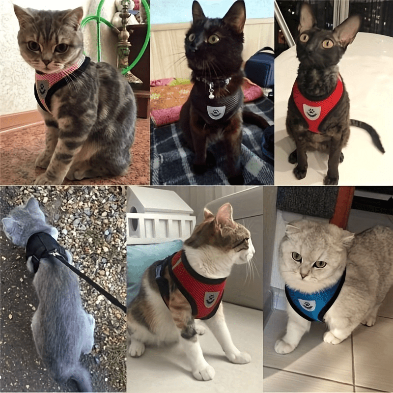 Reflective Pet Harness And Leash Set For Dogs And Cats, Adjustable Puppy Cat Vest Harness With Soft Mesh