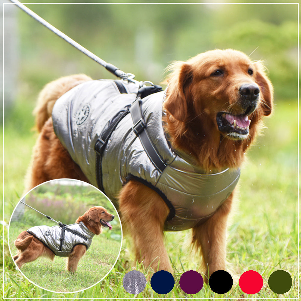 Designer Waterproof Dog Coat
