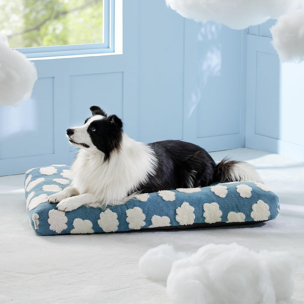 Themed Foam Dog Bed with Removable Washable Cover (Blue/Green    Flowers/Clouds)