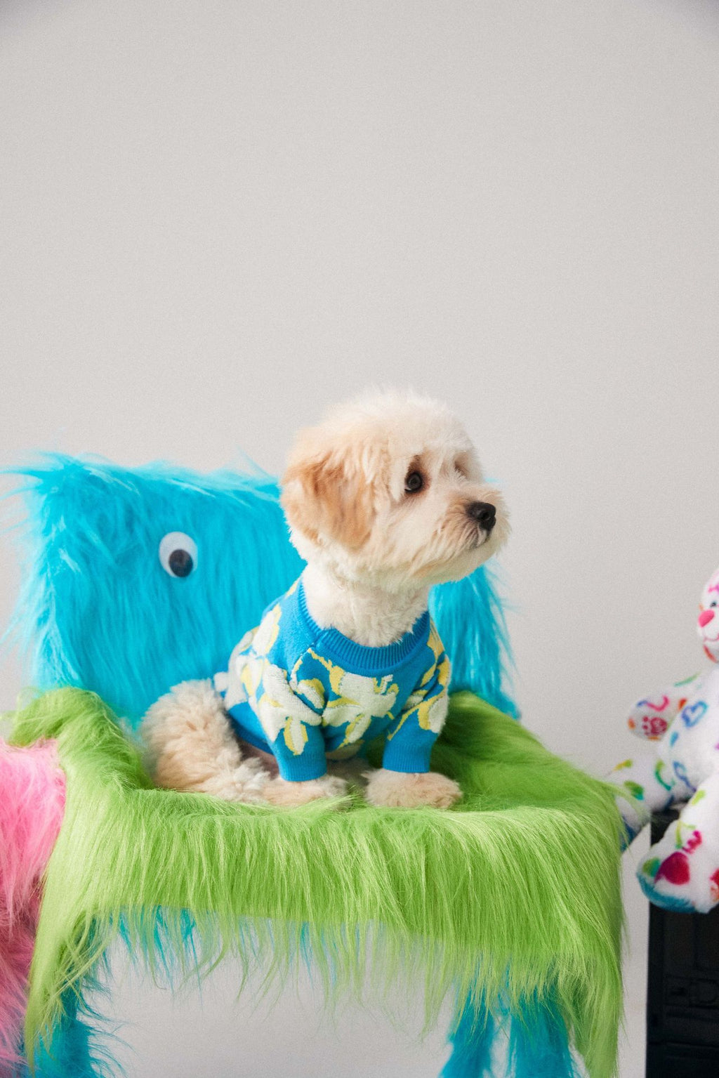 Warm Wool Floral Patterned Two-Legged Dog & Cat Sweater - Teddy & Small Breed Style
