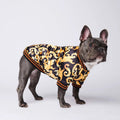 Golden Luxury Dog Coat