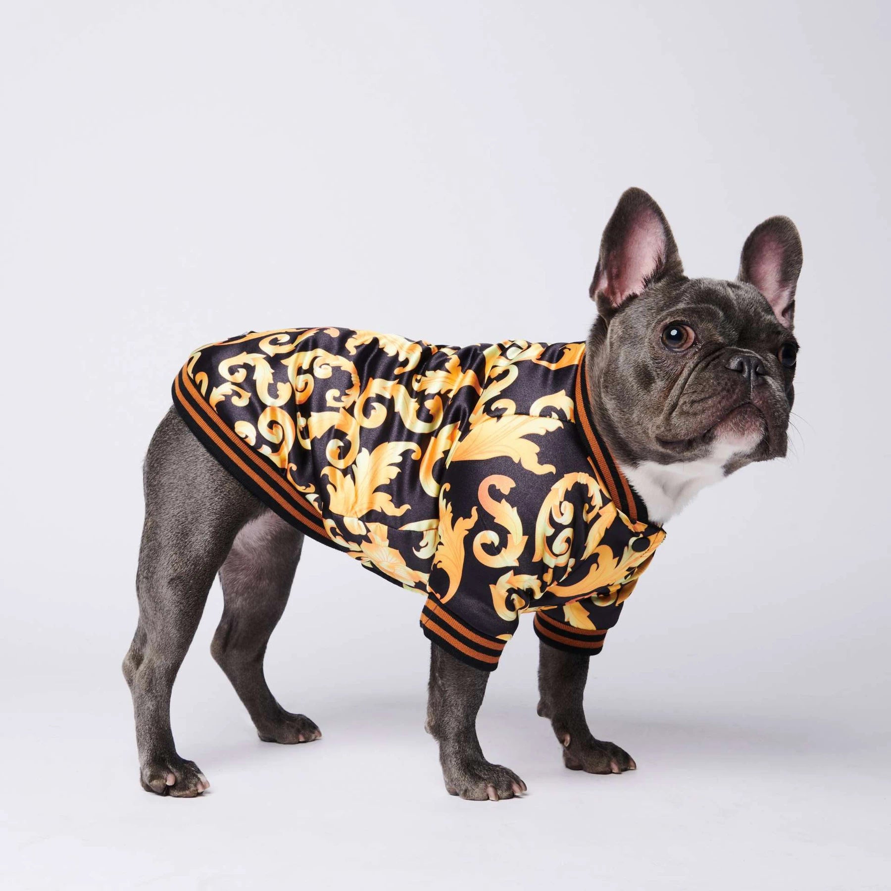 Golden Luxury Dog Coat