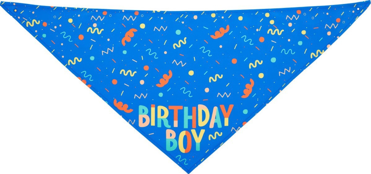 Pet Bandana & Bone Toy Set | Pink & Blue | Dog Birthday Accessories
