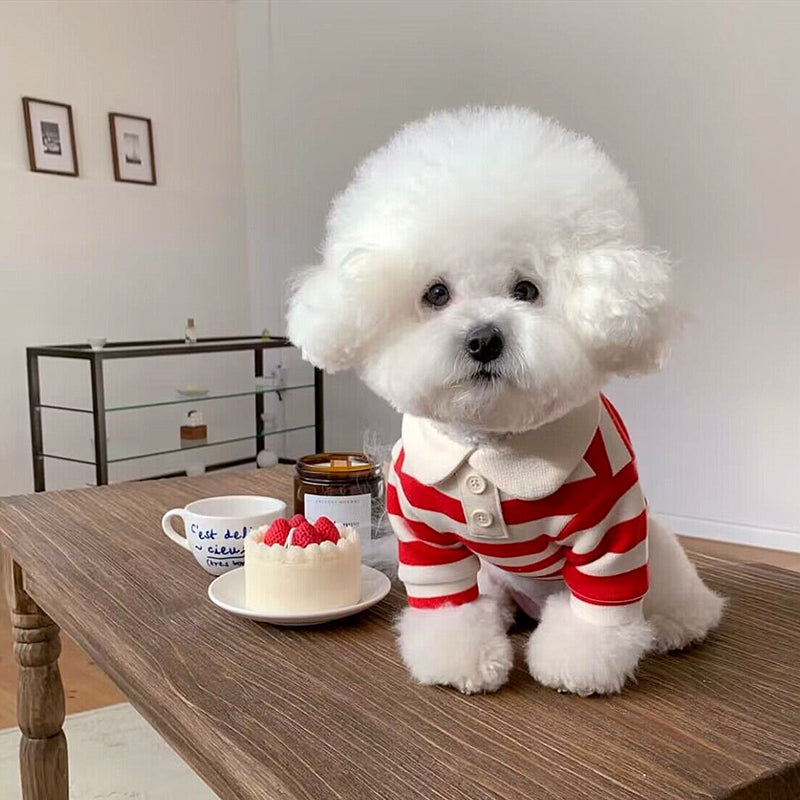 Colour Striped Doggy Luxe Shirt - Blue, Red OR Pink (All sizes)