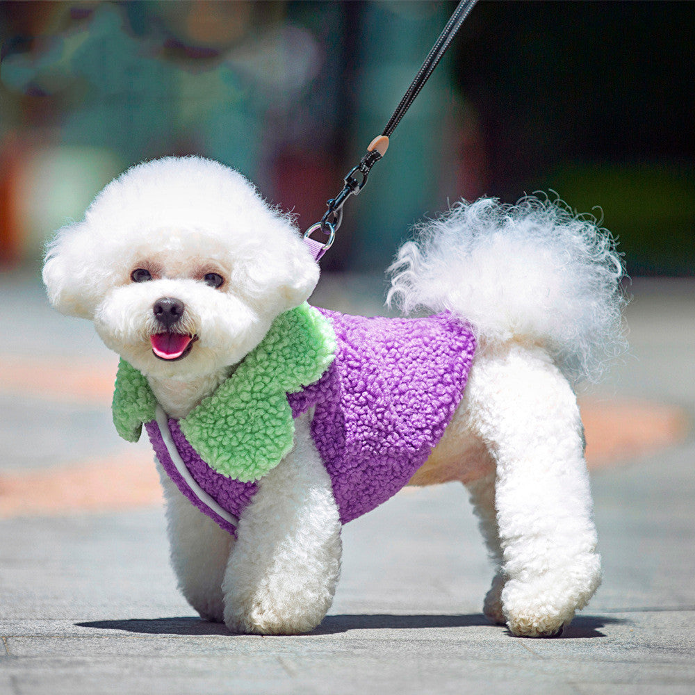 Korean Style Lotus Leaf Lace Pet Jumper - Warm Coral Fleece