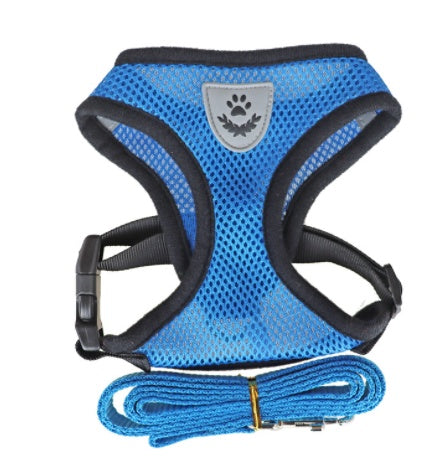 Mesh Dog Harness & Lead Set | Breathable No-Pull Design