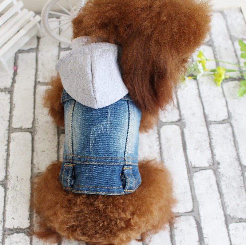 Designer Denim Dogwear