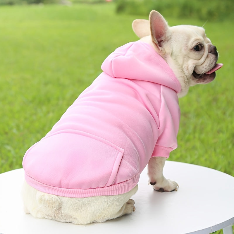 Hooded Fleece Dog Sweater – Warm Knit Coat for Small Dogs | All Seasons