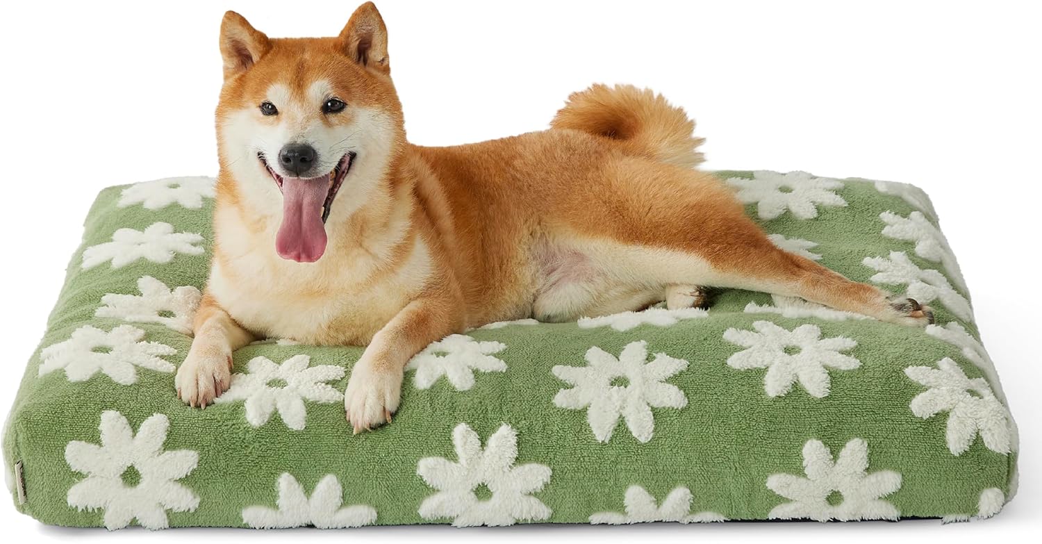 Themed Foam Dog Bed with Removable Washable Cover (Blue/Green    Flowers/Clouds)