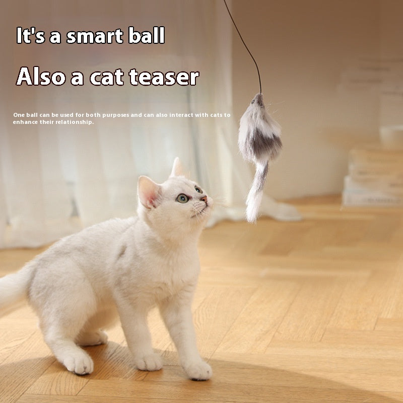 Automatic Electric Cat Teaser Ball - Intelligent Interactive Toy (Bestseller)