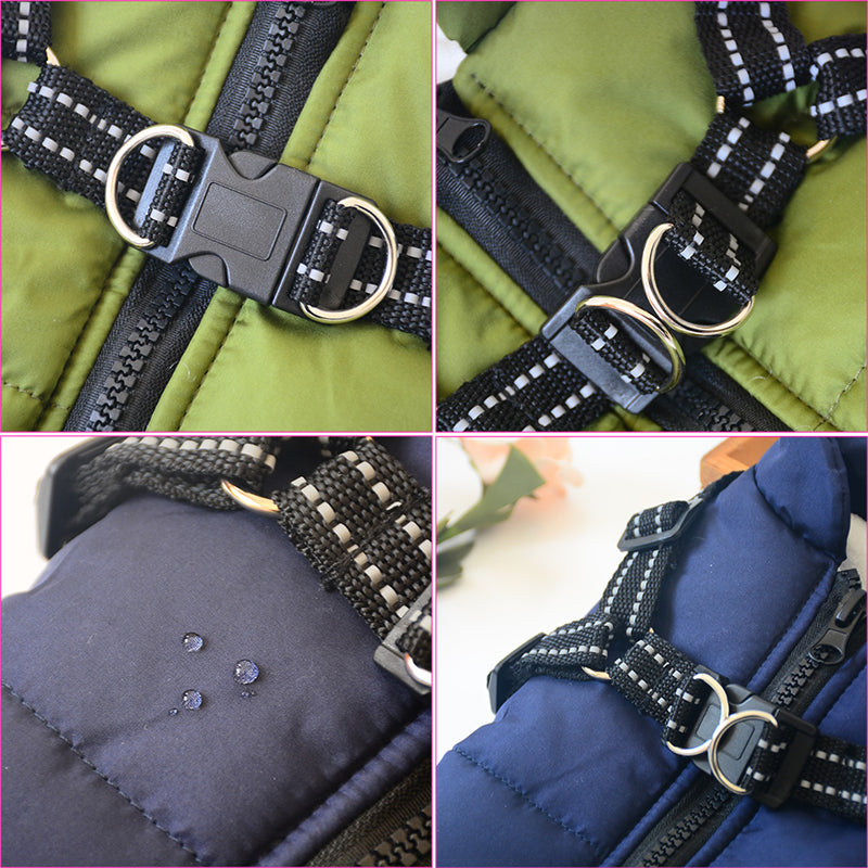 Designer Waterproof Dog Coat