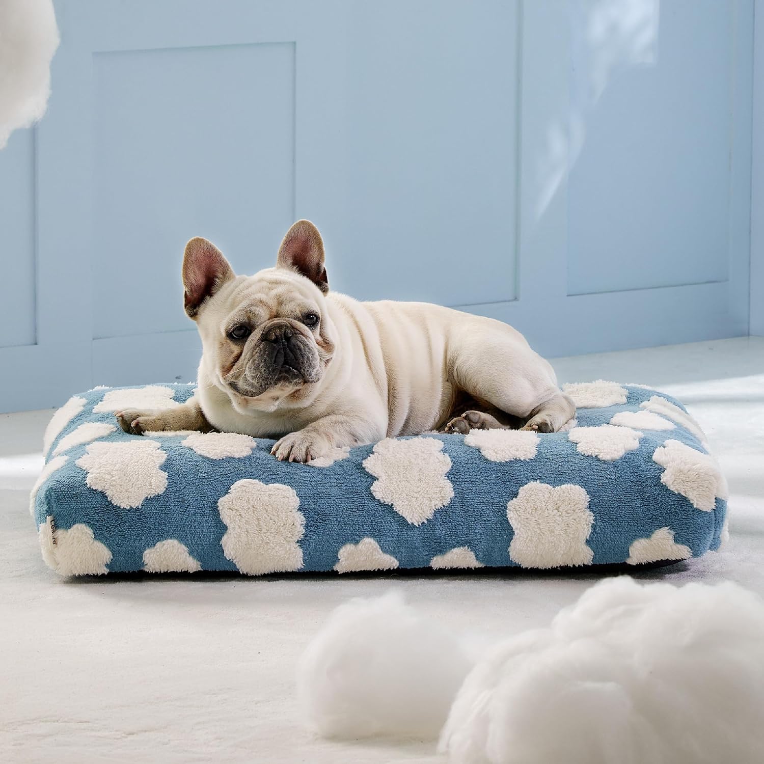 Themed Foam Dog Bed with Removable Washable Cover (Blue/Green    Flowers/Clouds)
