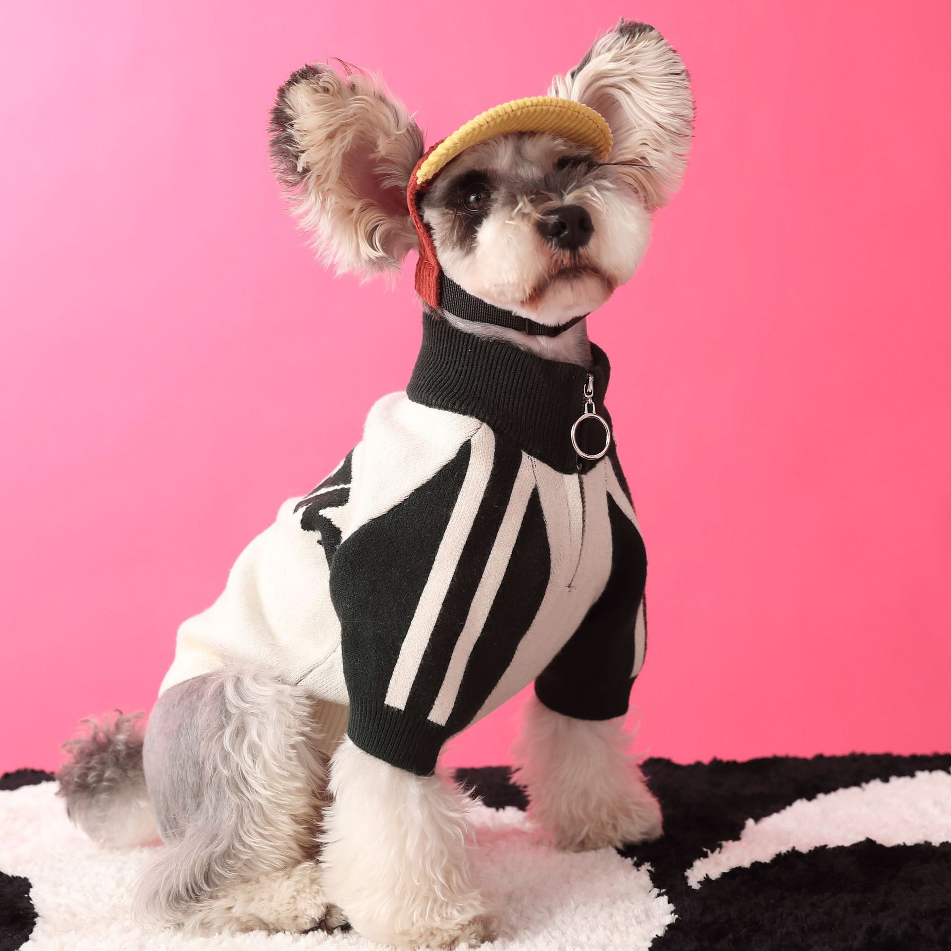 Sports Wool Dog Cardigan - Casual Style Pet Clothing