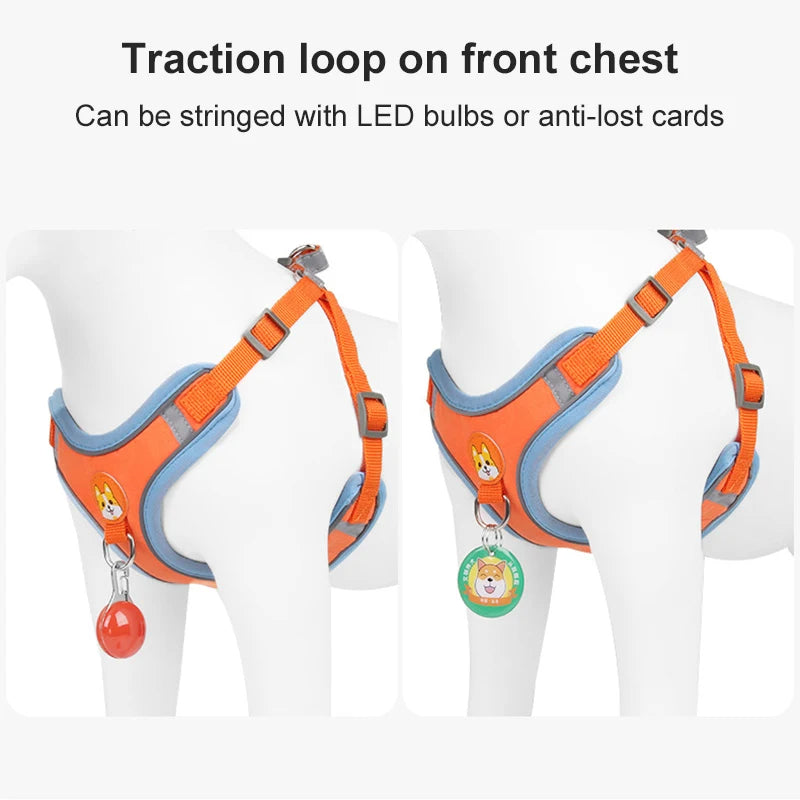 ColorPup - No Pull Dog Harness & Lead Set – Reflective Mesh Vest | 6 Colours | S–XL