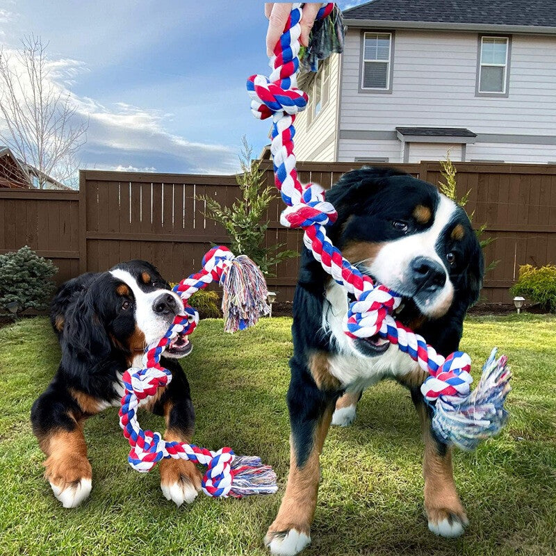 XXL Indestructible Cotton Rope Dog Toy – 5-Knot Tug & Chew Toy for Large Dogs | 36 Inch | Multicolour & Blue