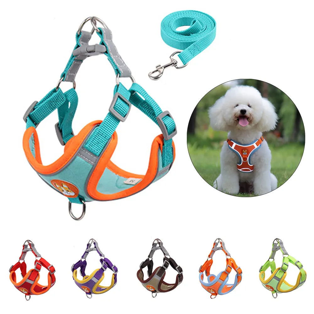ColorPup - No Pull Dog Harness & Lead Set – Reflective Mesh Vest | 6 Colours | S–XL