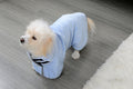 Microfibre Quick-Dry Pet Drying Towel & Bathrobe