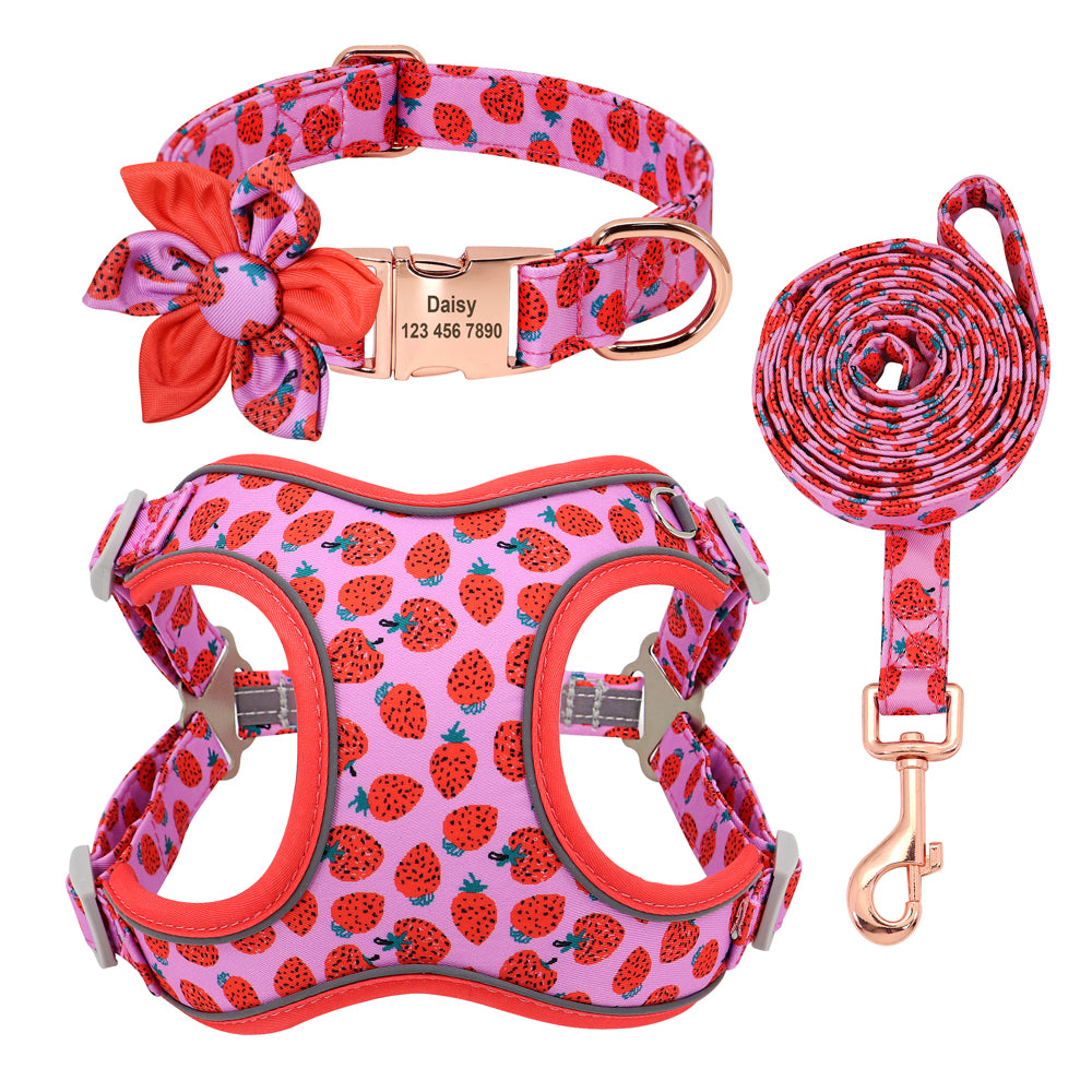 Colourful PupFruit Dog Collar & Leash Set