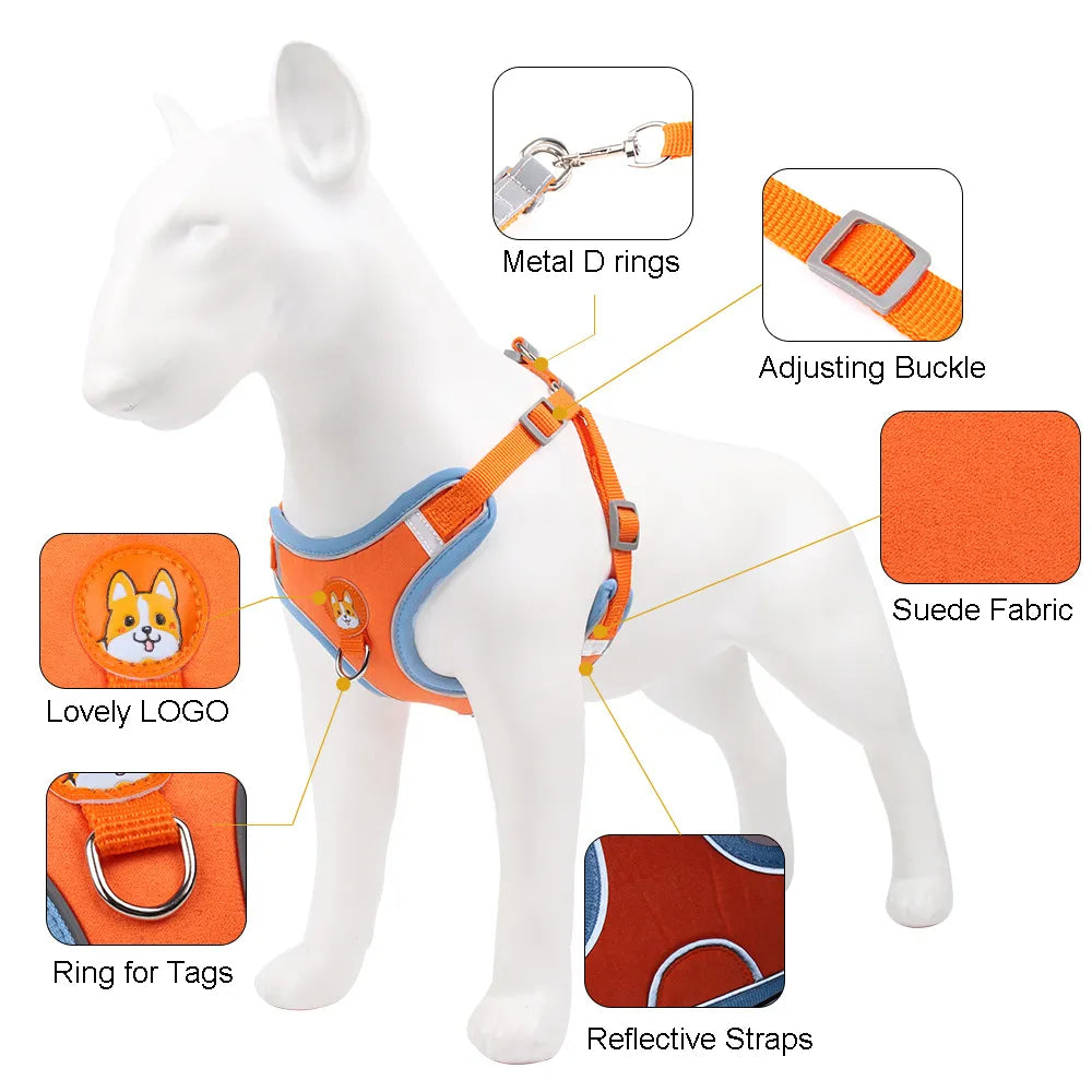 ColorPup - No Pull Dog Harness & Lead Set – Reflective Mesh Vest | 6 Colours | S–XL