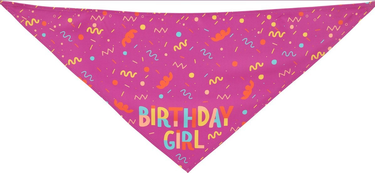 Pet Bandana & Bone Toy Set | Pink & Blue | Dog Birthday Accessories