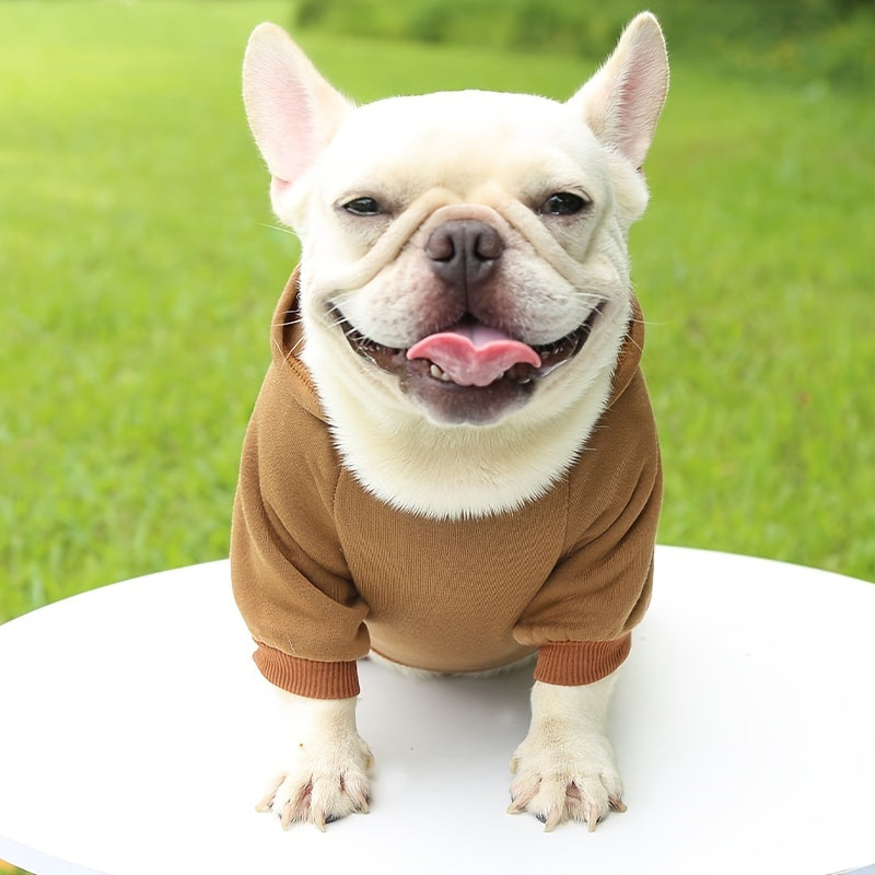 Hooded Fleece Dog Sweater – Warm Knit Coat for Small Dogs | All Seasons
