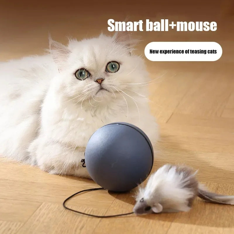Automatic Electric Cat Teaser Ball - Intelligent Interactive Toy (Bestseller)
