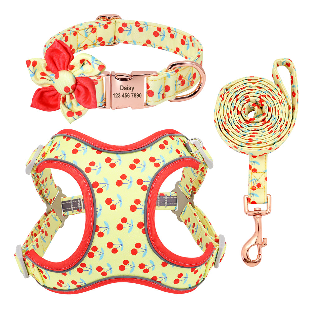 Colourful PupFruit Dog Collar & Leash Set