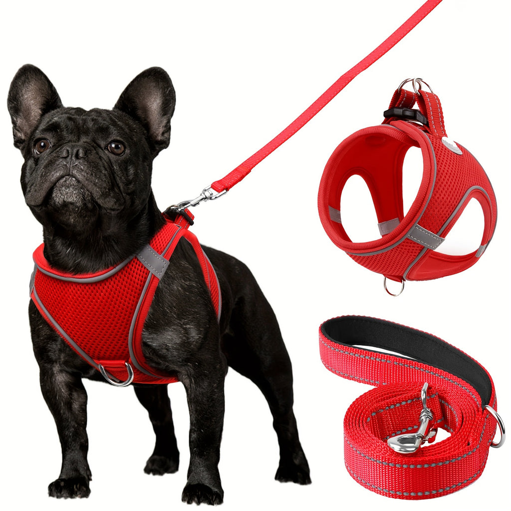 Joytale Step in Dog Harness and leash Set,Reflective Soft Padded Nylon Leash,Breathable Mesh Vest Harness and Leash for Small and Medium Dogs