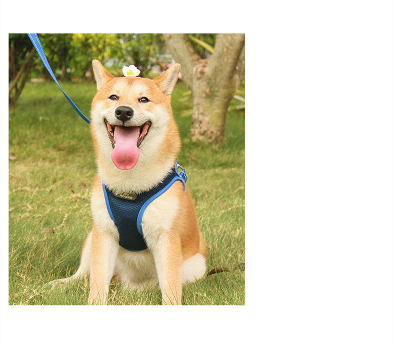 Soft Chest Harness & Leash for Cats & Dogs