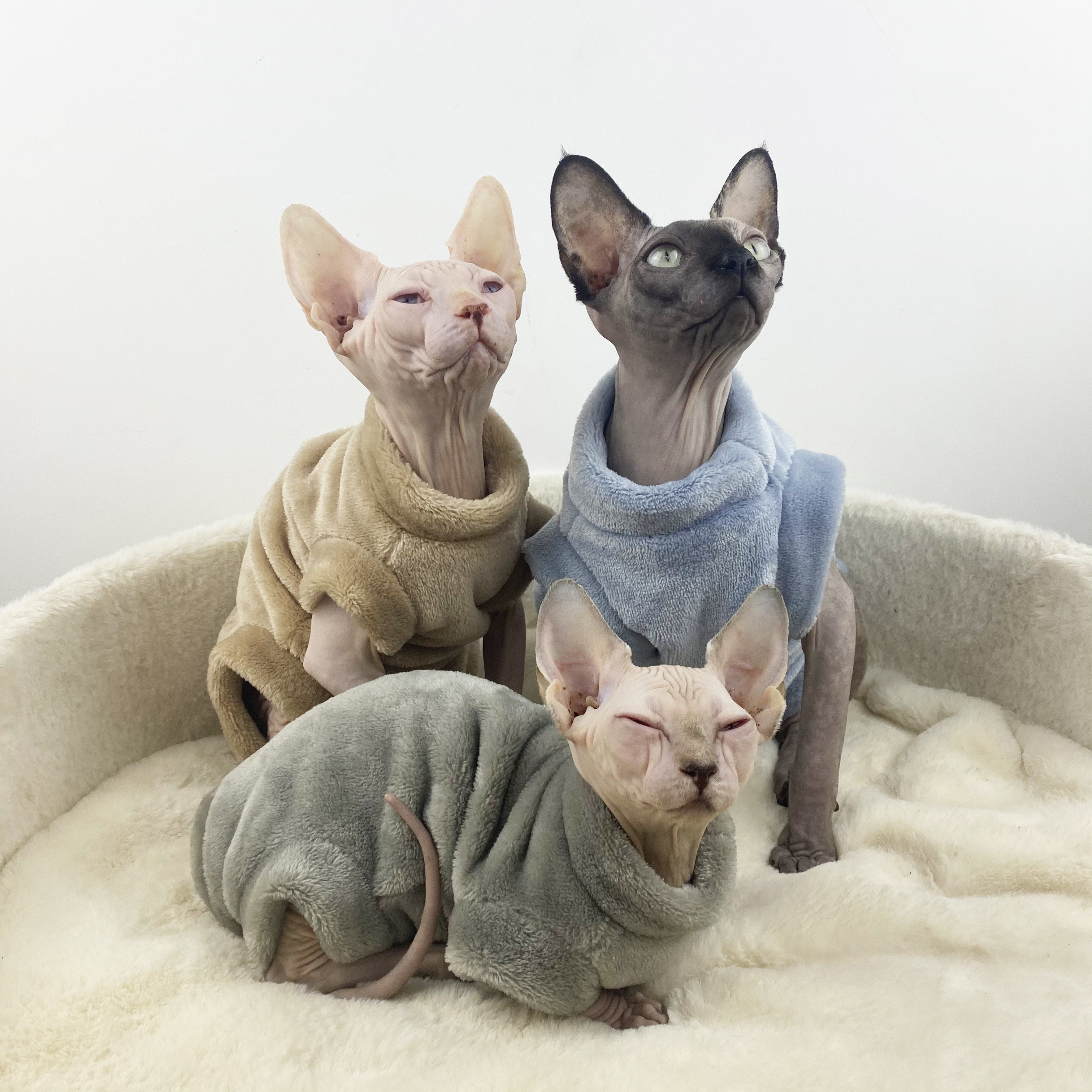 Flannel Thermal Four-Legged Jacket for Hairless Cats - Sphinx & Naked Breeds