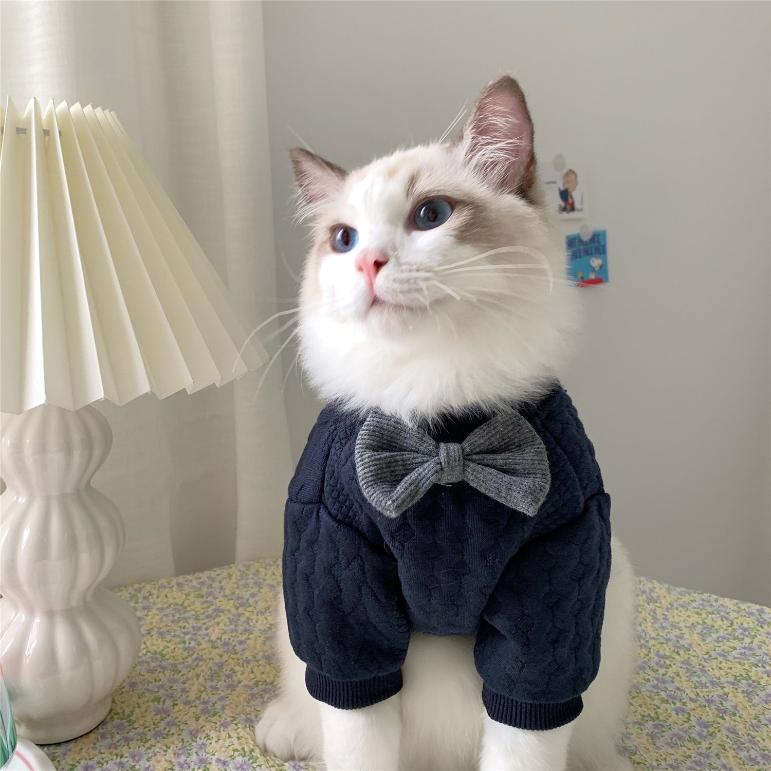 Bow Tie Cat Jumpsuit - Navy Blue
