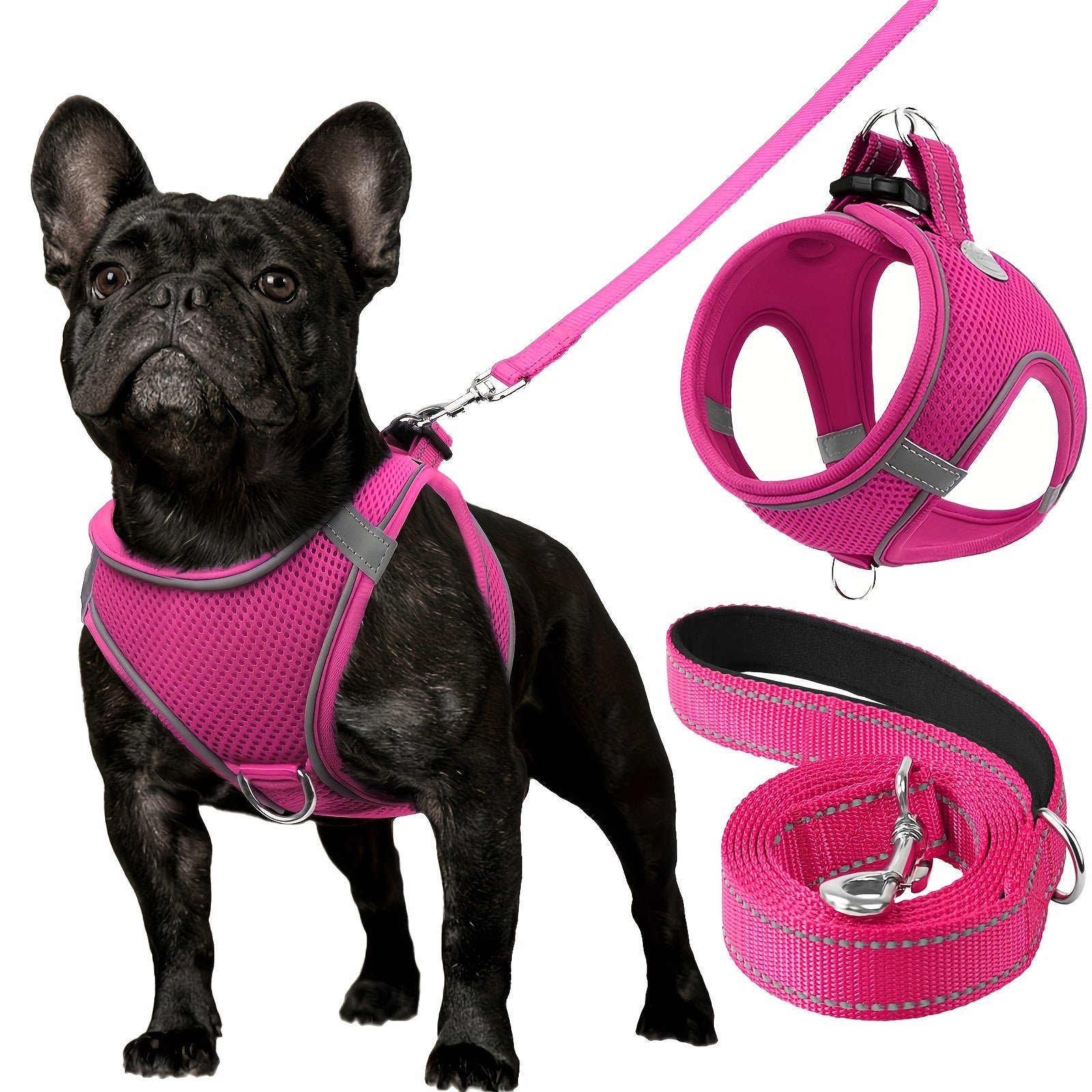 Joytale Step in Dog Harness and leash Set,Reflective Soft Padded Nylon Leash,Breathable Mesh Vest Harness and Leash for Small and Medium Dogs