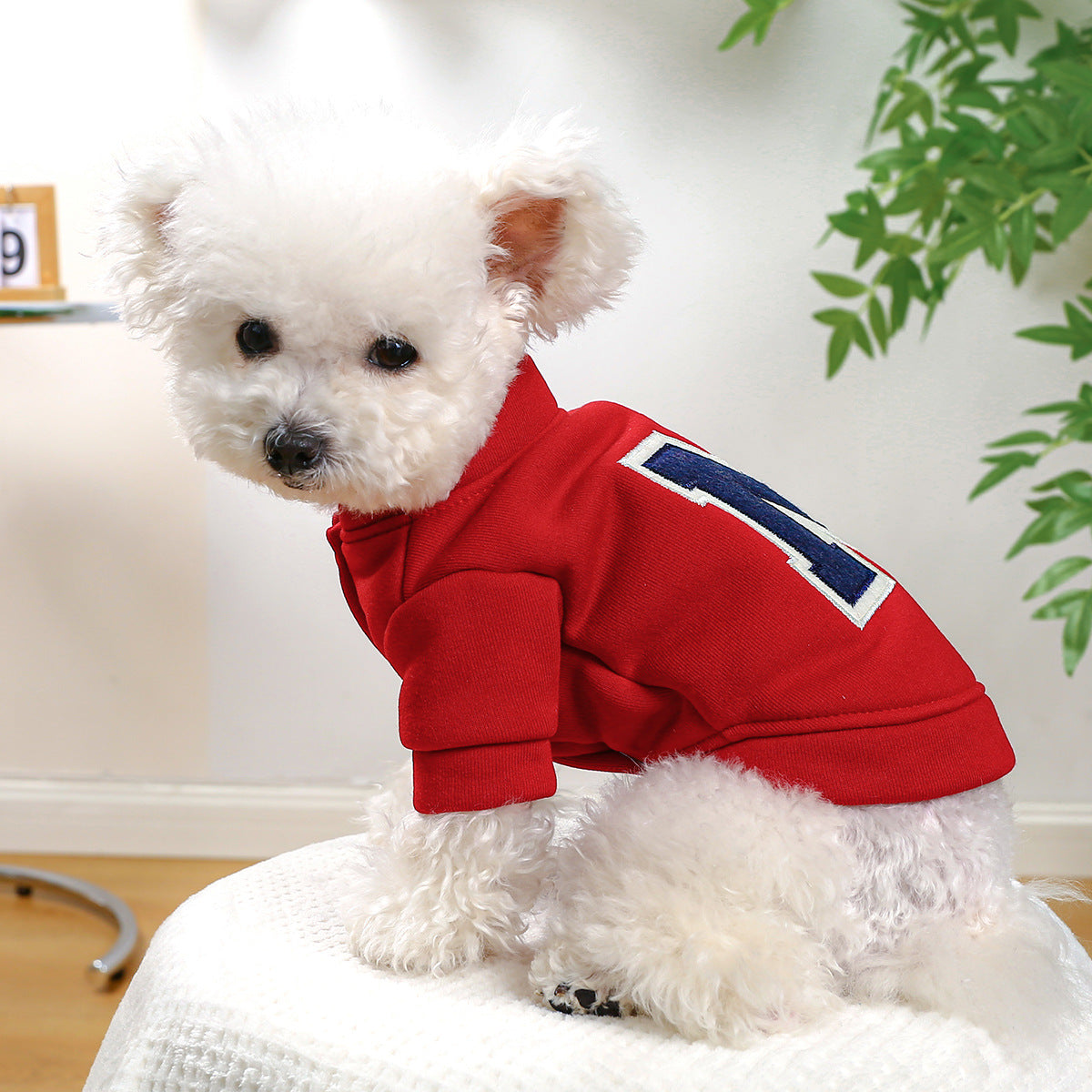 Luxe Letter Print Dog Hoodie Sweater - Autumn & Winter Warmth