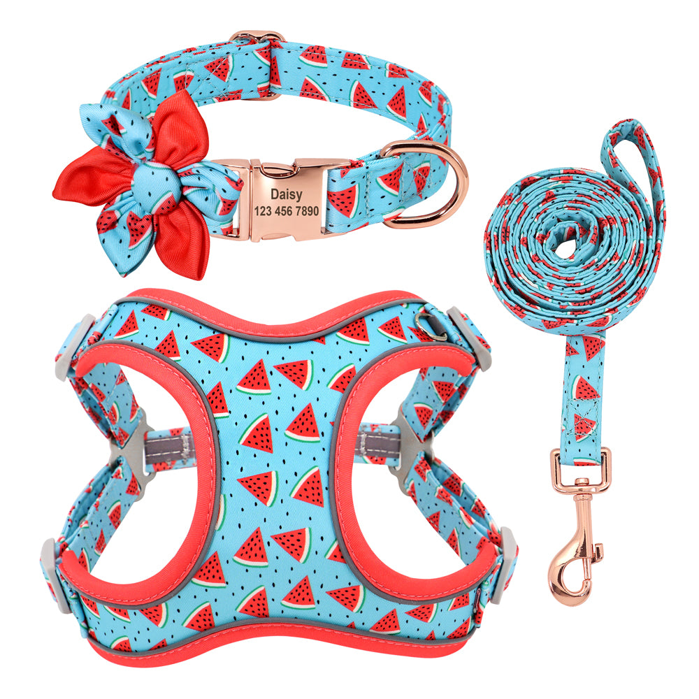 Colourful PupFruit Dog Collar & Leash Set
