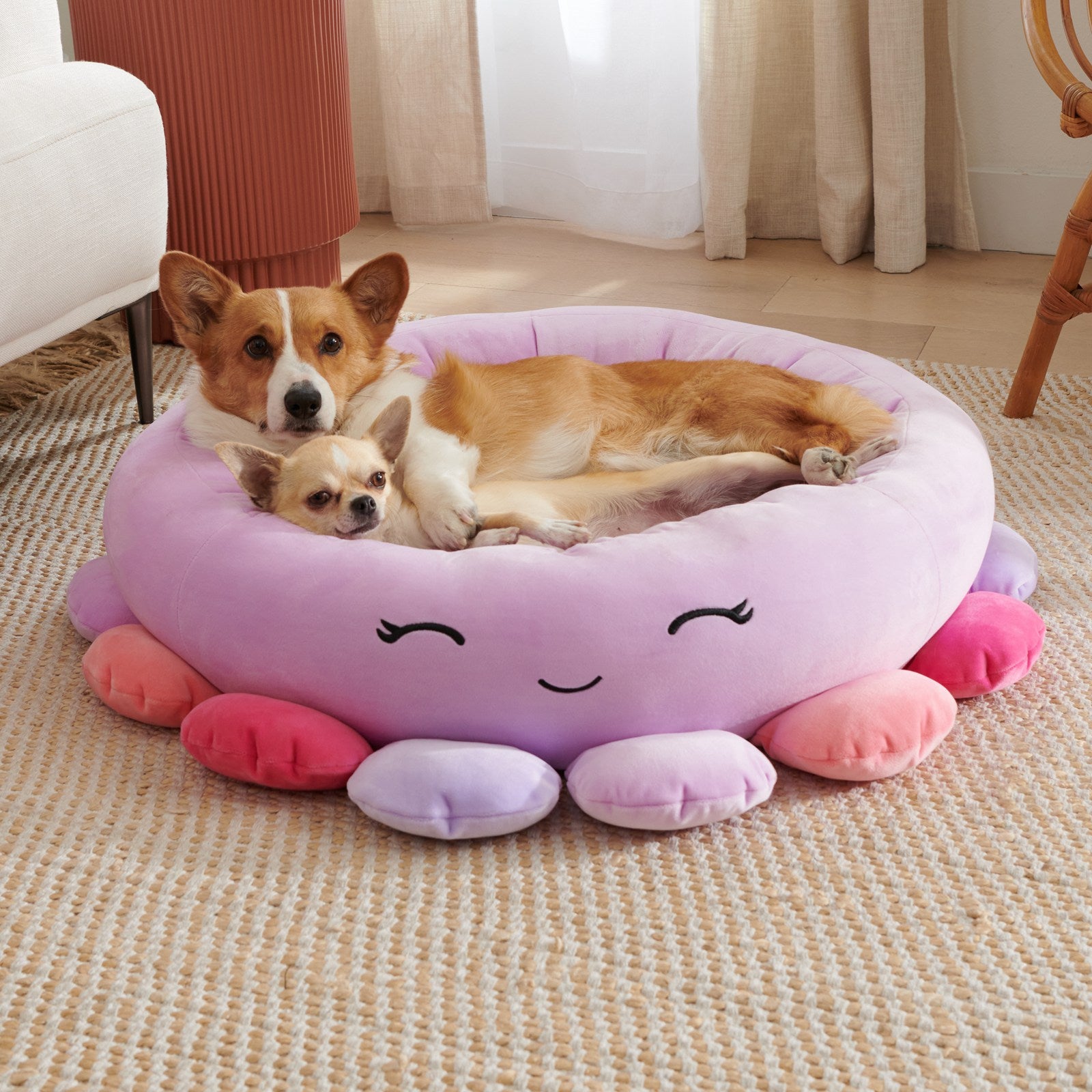 BellyRub Plush Round Dog Bed | Animals & Fruits Print | 65cm