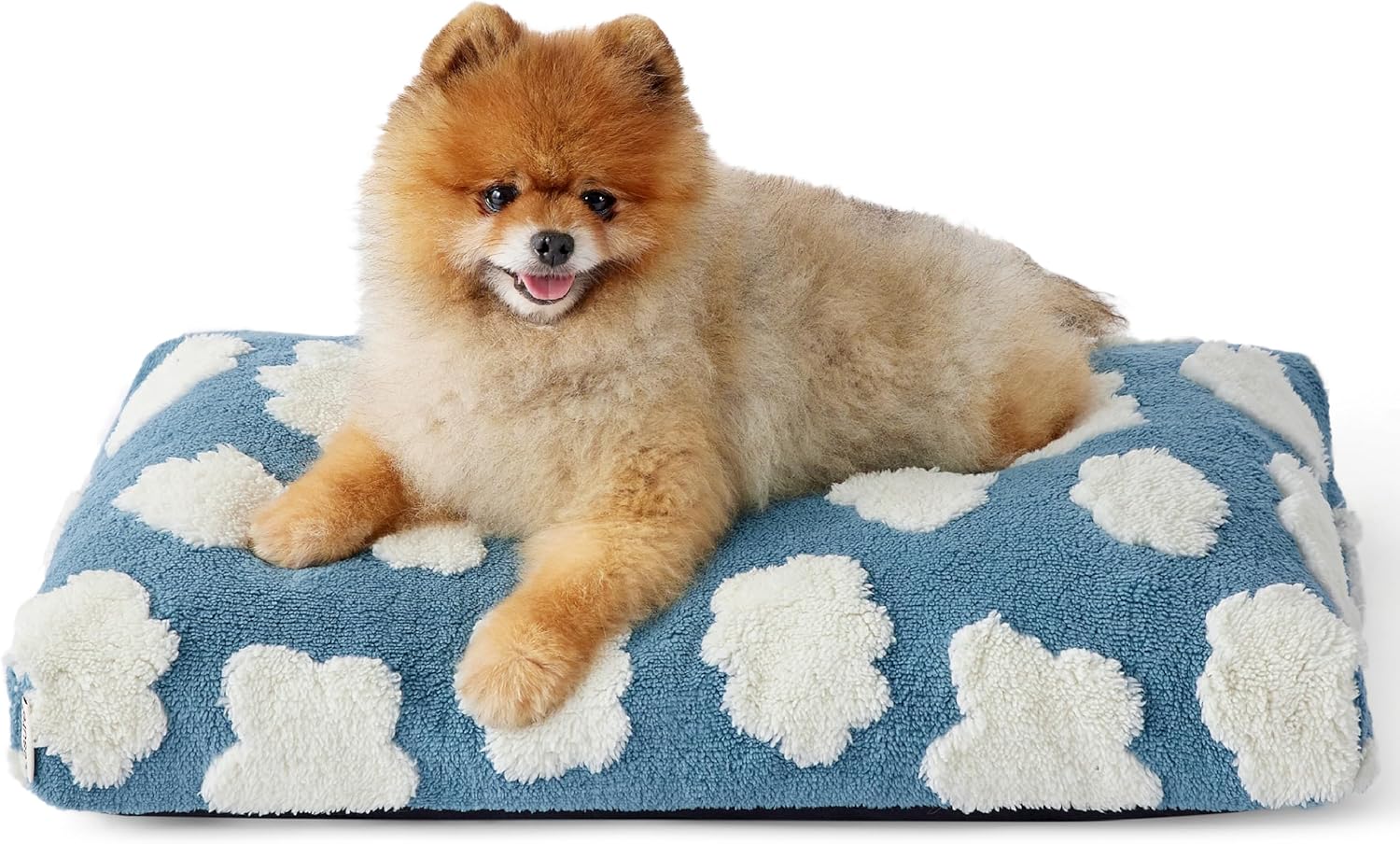 Themed Foam Dog Bed with Removable Washable Cover (Blue/Green    Flowers/Clouds)