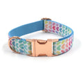 Complete Pet Walking Set - Collar, Leash, Bow, Harness & Bag