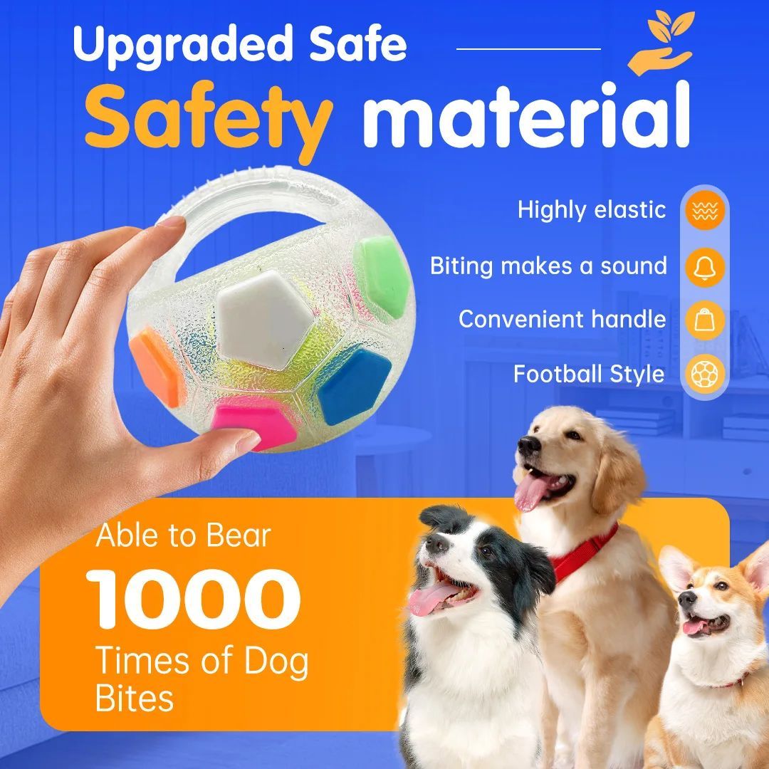 Crazy Ball Squeaky Dog Toy - Durable Teething & Training Toy for Medium to Large Dogs
