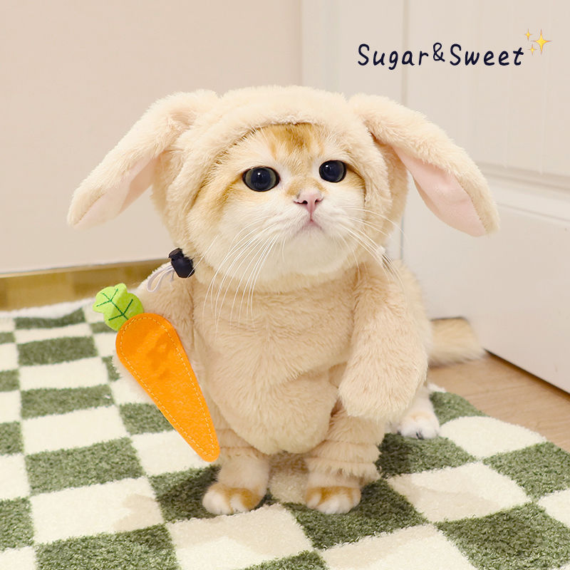 Funny Rabbit & Panda Pet Costume with Leash - Carrot & Bamboo Designs