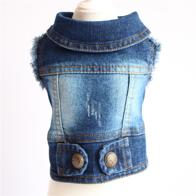 Designer Denim Dogwear