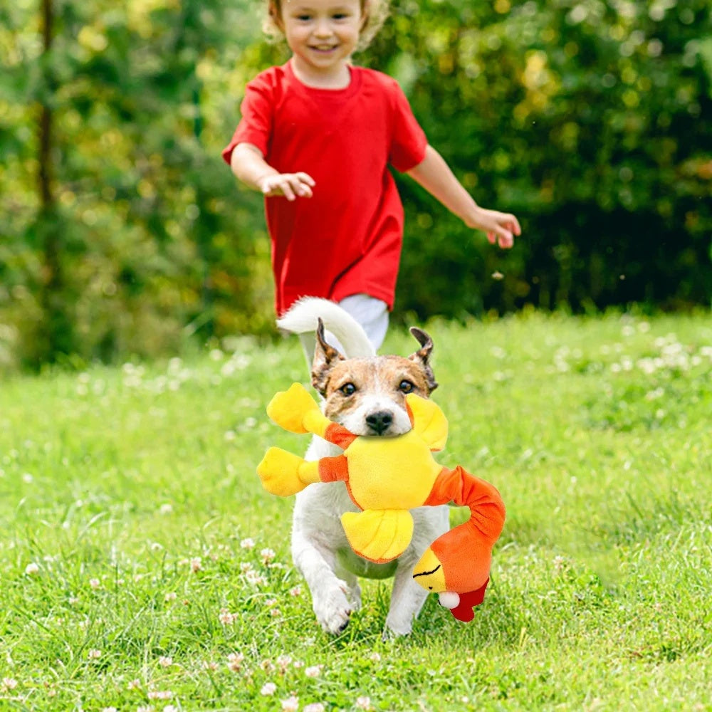 Screaming Chicken Squeaky Dog Toy - Bite Resistant & Interactive (Multiple Colours)