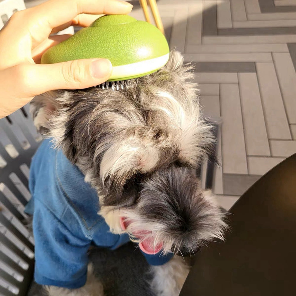 Self-Cleaning Pet Grooming Brush – One-Click Hair Release | Avocado & Lemon | Cats & Dogs