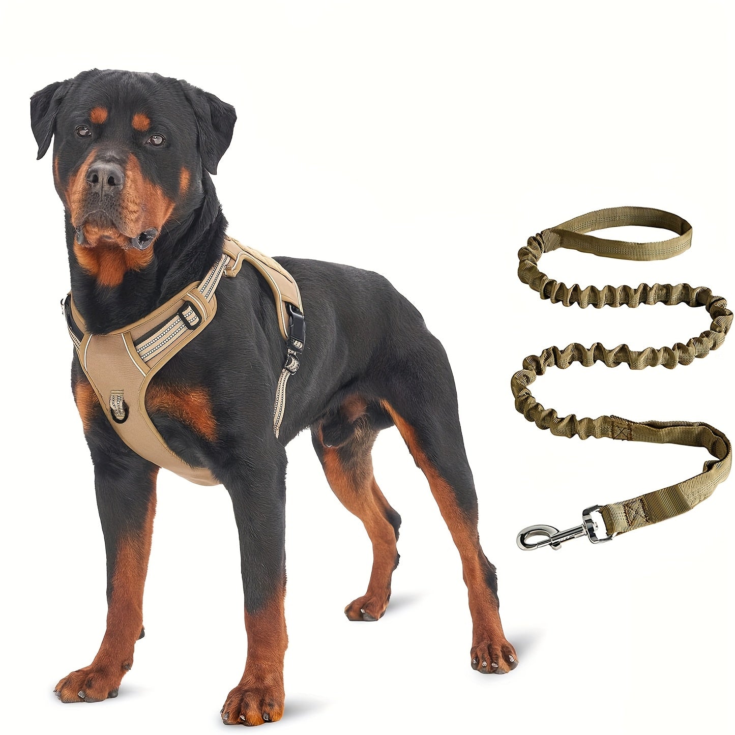 No-Pull Dog Harness with Handle & Bungee Leash - Adjustable Control Vest for Medium & Large Dogs, Durable Comfort Fit for Walking, Hiking, Training, Sturdy Metal Clip, Hiking with Dogs, Secure Grip, Highquality Material, Acti