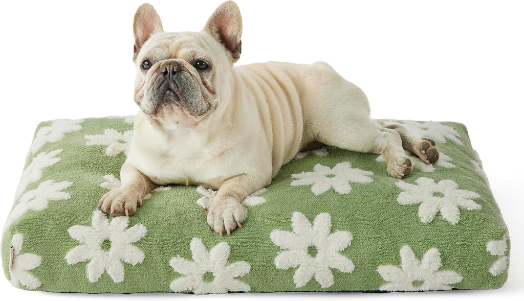 Themed Foam Dog Bed with Removable Washable Cover (Blue/Green    Flowers/Clouds)