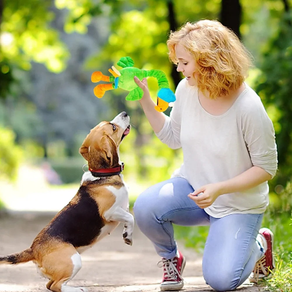 Screaming Chicken Squeaky Dog Toy - Bite Resistant & Interactive (Multiple Colours)