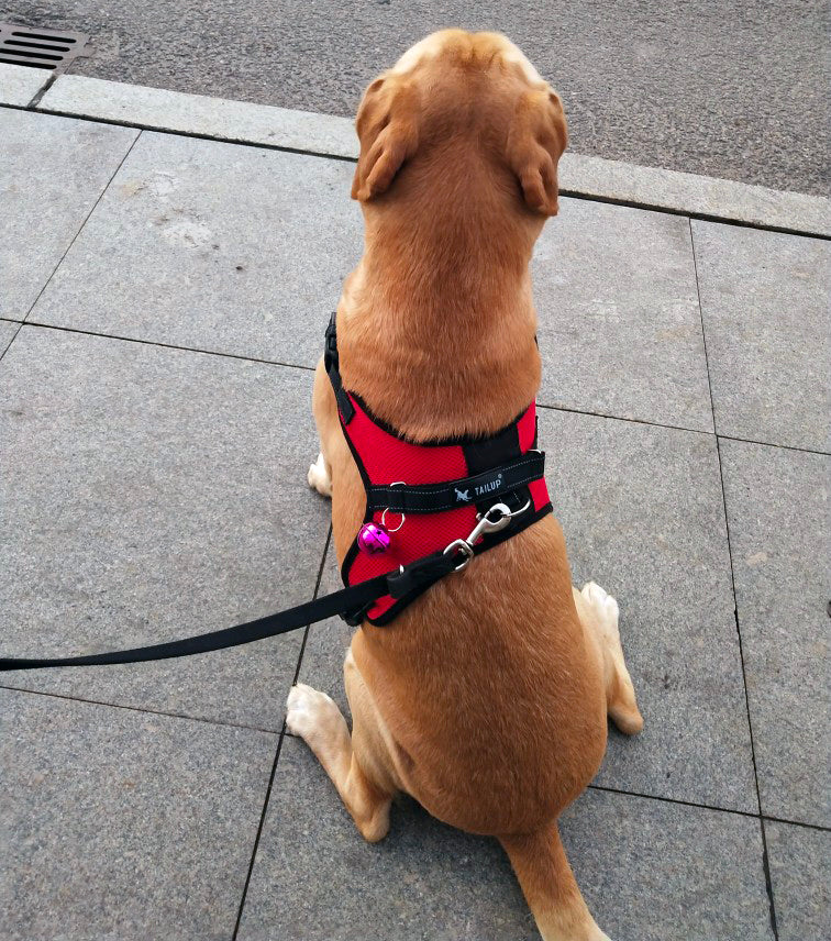 Saddle-Style Dog Chest Harness - Multi-Size & Colour (Super Durability)