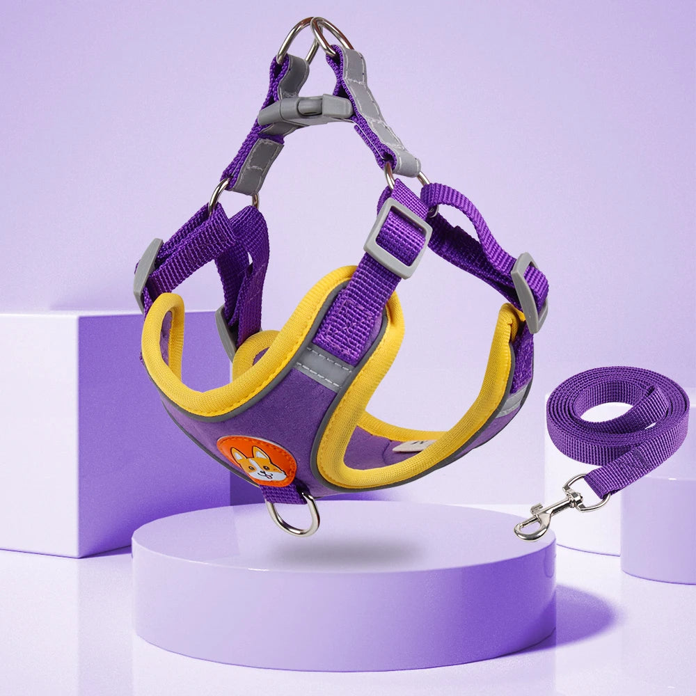 ColorPup - No Pull Dog Harness & Lead Set – Reflective Mesh Vest | 6 Colours | S–XL